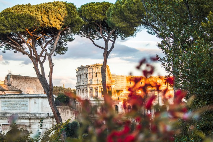 The Colosseum in Rome framed by tall trees and red flowers.